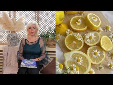 Видео: 11 ноября 2025 г.