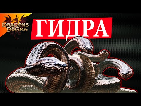 Видео: Почему Не Стоит Играть С Гидрой  - #3 Dragon`s Dogma: Dark Arisen Прохождение