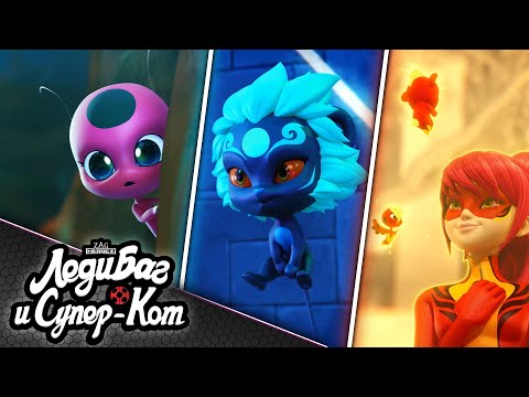 Видео: ЛЕДИ БАГ И СУПЕР-КОТ | ⭐ КВАМИ 🔝 | ШАНХАЙ - НЬЮ ЙОРК