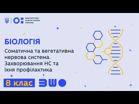 Видео: 8 клас. Біологія. Соматична та вегетативна нервова система. Захворювання НС та їхня профілактика