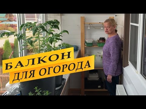 Видео: Как устроен мой балкон для зимнего огорода и рассады.