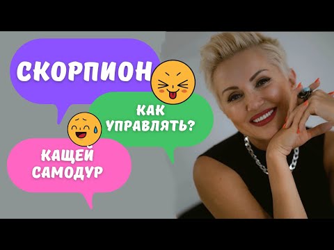 Видео: Мужчина Скорпион - Как управлять? Научу! Гороскоп Кащея!