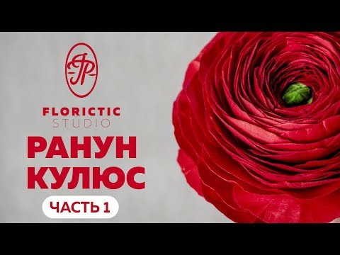 Видео: Реалистичный ранункулюс из зефирного фоамирана. Часть 1