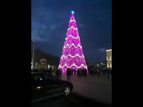 Видео: Зокир р чони ширин