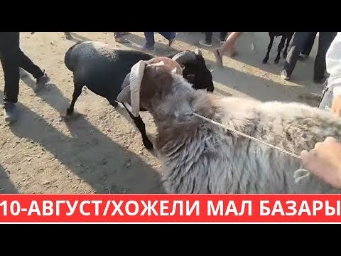 Видео: 10-АВГУСТ/ХОЖЕЛИ МАЛ БАЗАРЫ 