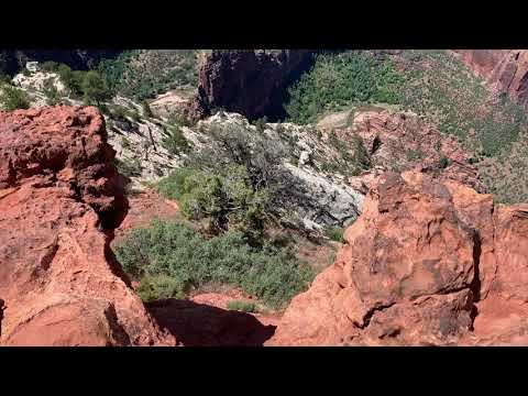 Видео: "ҚЫЗЫЛ ҚАЙЫҢ" КҮЙІ - ҚҰРМАНҒАЗЫ САҒЫРБАЙҰЛЫ || " Qyzyl qaıyń " kúıi - Qurmanǵazy Saǵyrbaıuly