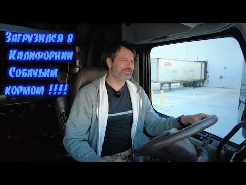 Видео: Устал как собака.  загрузился собачьим кормом и жизнь удалась!!!