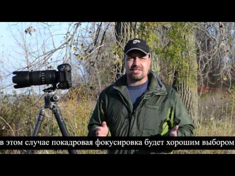 Видео: Фокусировка задней кнопкой - советы профессионалов