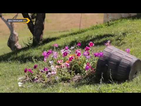 Видео: "Болен ми лежи" изп. МФГ "ВЕСЕЛИЕ" гр. Симитли