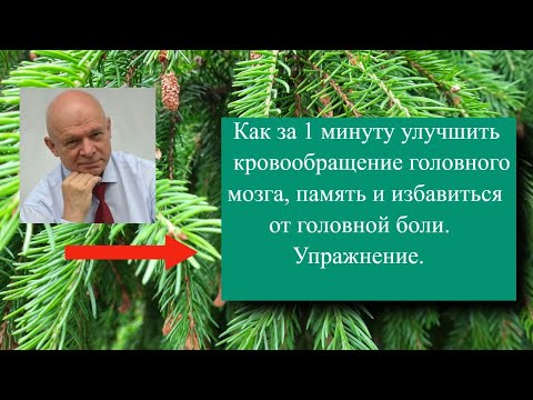 Видео: Всего 1 минута улучшит работу головного мозга, память и избавит от  головной боли. Упражнение