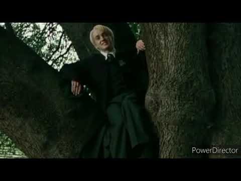 Видео: Драко и Гермиона. Убей меня только быстро