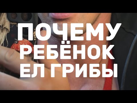 Видео: Почему мой сын ел мухоморы и ежовик. Врачи. Диагноз. Ноотропы. Результаты. История. 