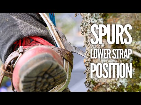 Видео: Почему я ношу шпоры иначе, чем большинство арбористов