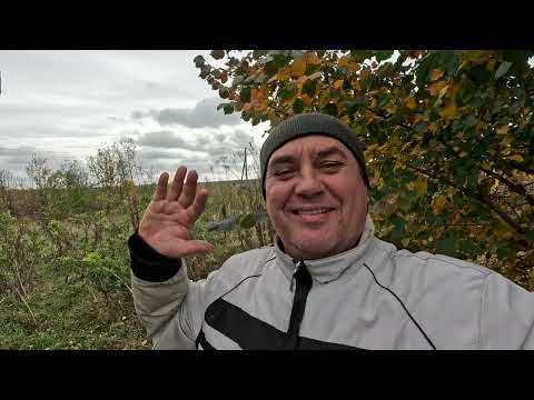 Видео: ✅ Фазенда под Пасеку с нуля! 2 Часть. Забетонировал Столбы! #пчеловодство1