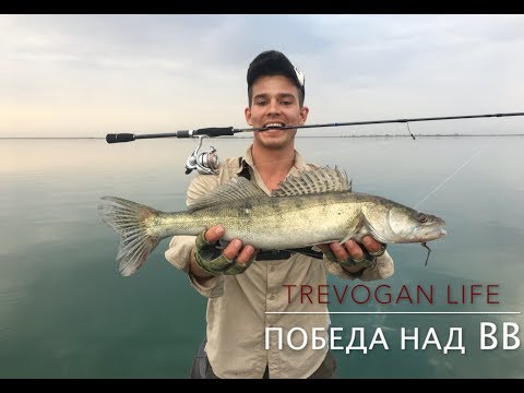 Видео: Рыбалка на Весёловском водохранилище (ПОБЕДА над ВВ. Бешеный судак, окунь, щука ЧАСТЬ ПЕРВАЯ! )