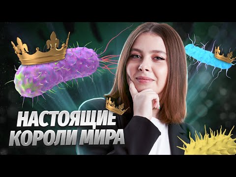 Видео: Прокариоты | Биология ЕГЭ 2025 | Умскул