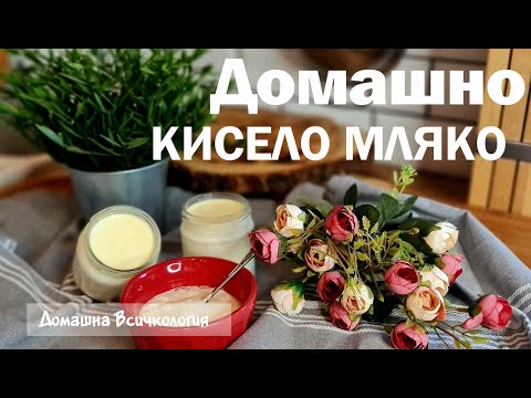 Видео: За 6 часов у вас будет самый вкусный домашний йогурт!