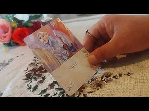 Видео: Ловия фоли тел 998508860639
