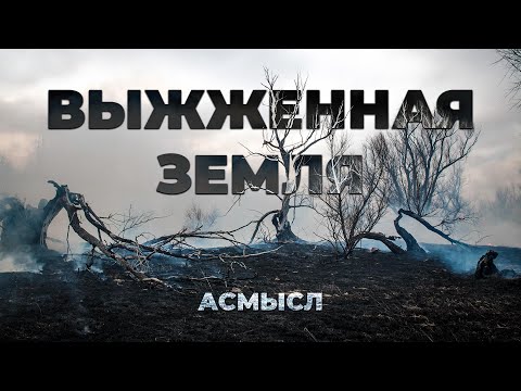 Видео: АСМЫСЛ // Выжженная земля