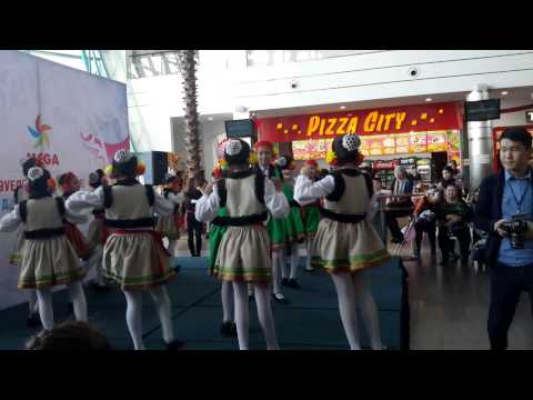 Видео: Мега Старс