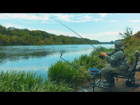 Видео: Осенний фидер на реке Дон 2023
