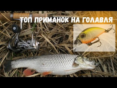 Видео: МОЙ ТОП Приманок на Голавля! Эти Приманки ловят всегда! #спиннинг #голавль #рыбалка
