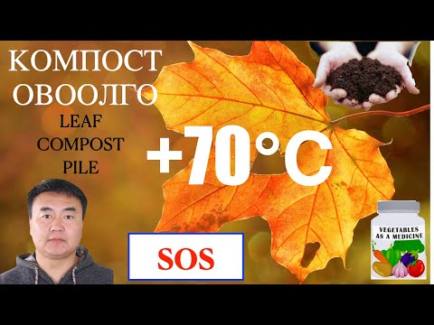 Видео: Навчаар хийсэн компостны овоолгоо хэрхэн холих вэ?Turning the leaf compost pile.