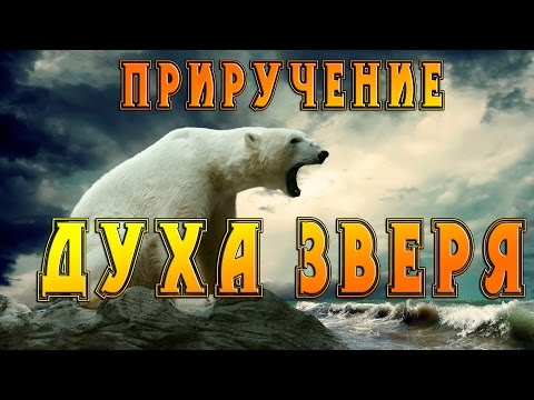 Видео: Где приручить питомца Духа Зверя?