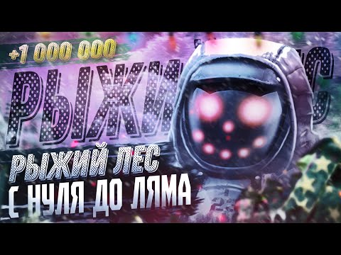 Видео: С НУЛЯ ДО ЛЯМА В СОЛО НА РЫЖЕМ ЛЕСУ, НА МАСТЕРКАХ, в Сталкрафте | заработок в Stalcraft