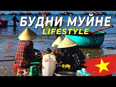 Видео: Жизнь в Муйне - Тропические Будни. Lifestyle #муйне2025