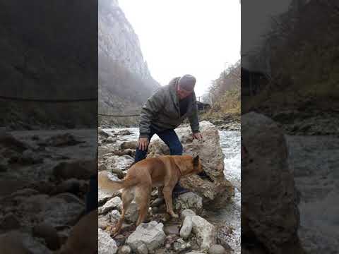 Видео: Юрий Викторович Беляев