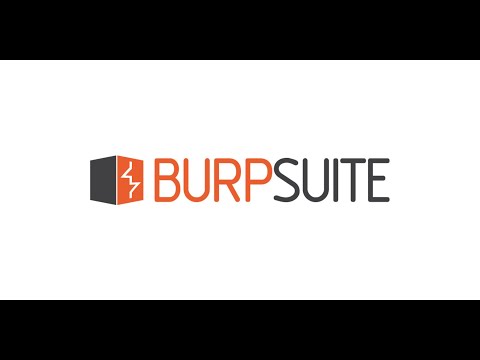 Видео: #37. Краткое руководство по Burp Sute.