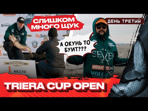 Видео: TRIERA CUP OPEN | День 3. Казань