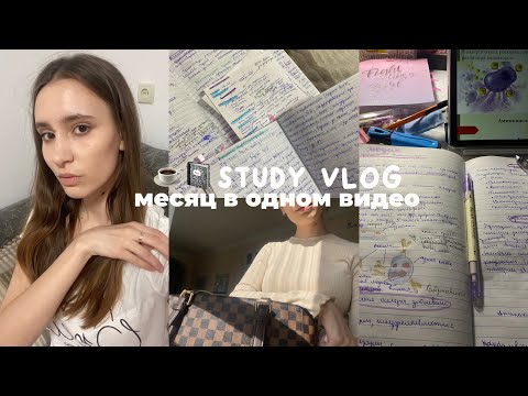 Видео: Весь месяц в одном видео: study vlog