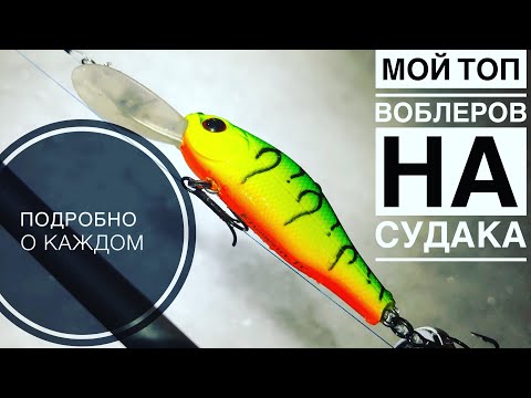 Видео: МОЙ ТОП ВОБЛЕРОВ ДЛЯ ЛОВЛИ НОЧНОГО СУДАКА НА МОСКВА РЕКЕ ЗИМОЙ | РАЗБОР КАЖДОЙ МОДЕЛИ