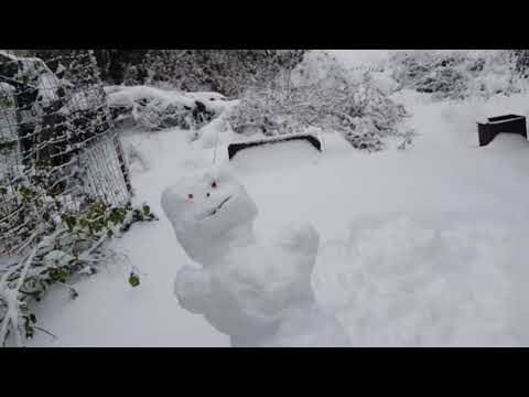Видео: Дом в цветах//Мой сад . Конец ноября.