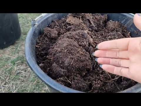 Видео: ЛУЧШЕЕ УДОБРЕНИЕ. КАПРОЛИТЫ, КОМПОСТ, БИОГУМУС, ЖИЗНЬ ЧЕРВЯ В КОМПОСТНИКЕ. ОТВЕТЫ НА ВОПРОТЫ.