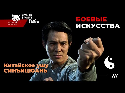 Видео: СИНЪИЦЮАНЬ: стиль традиционного китайского ушу