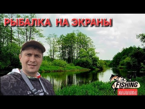 Видео:  Удачная рыбалка на ЭКРАНЫ ОСЕНЬЮ. РЫБАЛКА НА ЭКРАНЫ (ТЕЛЕВИЗОРЫ)