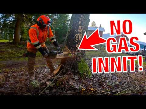 Видео: Я взял EGO CSX5000 на настоящую рубку леса — вот что из этого получилось