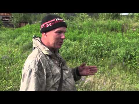 Видео: Ногинск (Нижняя Тунгуска) 2015