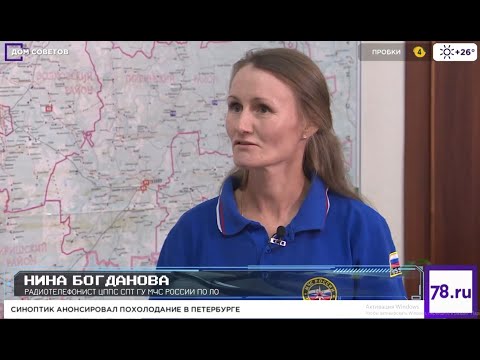 Видео: Безопасность в лесу