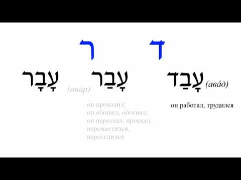 Видео: Урок № 12  Учимся читать похожие буквы иврита