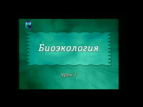 Видео: Экология. Урок 7. Динамика популяций. Гомеостаз популяций