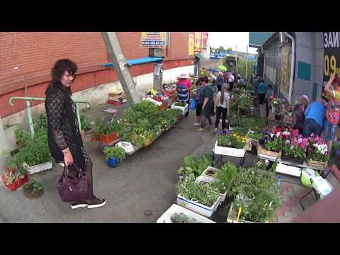 Видео: Большое путешествие  - 25 серия // 2 часть // г. Тулун // Краткий обзор