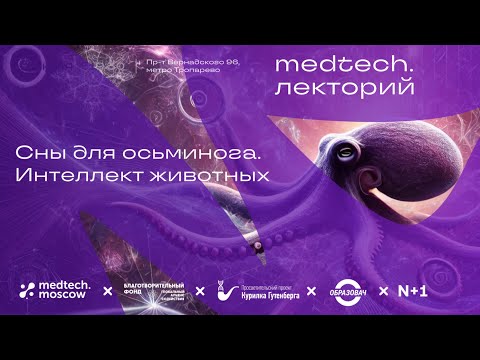 Видео: Лекция | Сны для осьминога. Интеллект животных | Илья Гомыранов