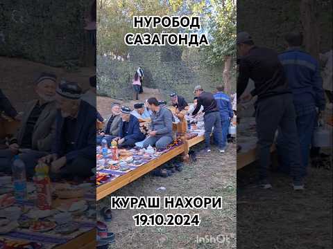 Видео: НУРОБОД САЗОГОНДА КУРАШ НАХОРИ 19.10.2024