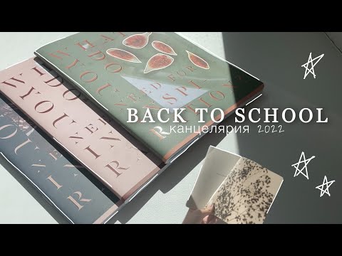 Видео: back to school 2022 | покупки канцелярии | *эстетичная канцелярия* | 10 класс