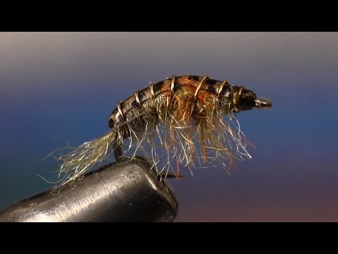 Видео: Простой Скад