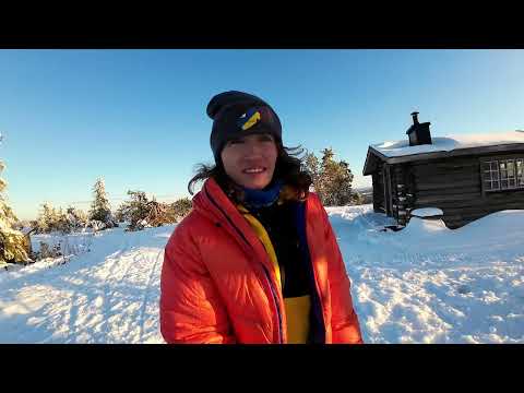 Видео: АРКТИКА. Остання пустеля Європи || ДИКА ЗЕМЛЯ СААМІВ || Ночівля в полярній хатинці